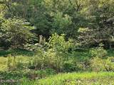 73.87ac Mill Hollow Rd - Photo 7