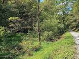 73.87ac Mill Hollow Rd - Photo 8