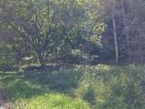 73.87ac Mill Hollow Rd - Photo 9