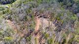  Wolfenbarger Tract 1 - Photo 13