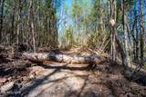  Wolfenbarger Tract 1 - Photo 18