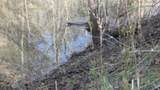 35.68ac Sugar Creek Rd - Photo 41
