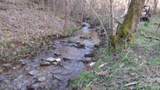 35.68ac Sugar Creek Rd - Photo 42