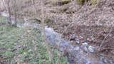 35.68ac Sugar Creek Rd - Photo 43