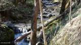 35.68ac Sugar Creek Rd - Photo 51