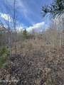  Grape Rough Rd - Photo 17