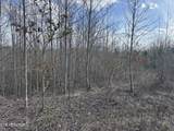  Grape Rough Rd - Photo 5