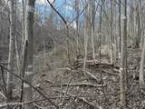  Grape Rough Rd - Photo 7