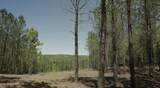 00 Worley Rd - Photo 1