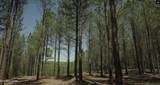 00 Worley Rd - Photo 2