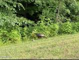 334 Enclave Way - Photo 14