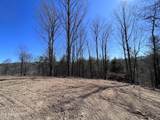  Cole Hollow Rd - Photo 14
