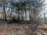  Cole Hollow Rd - Photo 34