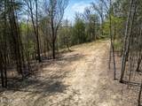  Cole Hollow Rd - Photo 42