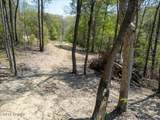  Cole Hollow Rd - Photo 47