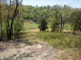  Cole Hollow Rd - Photo 48