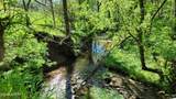 1909 Buck Hollow Rd - Photo 3