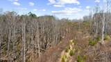  Stinking Creek Rd - Photo 28