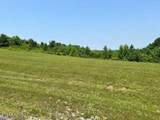 Lot 16 Bluebird Point - Photo 2