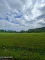 Lot 16 Bluebird Point - Photo 4