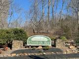 LOT 71 Saddle Ridge Drive - Photo 11