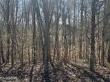 LOT 71 Saddle Ridge Drive - Photo 3