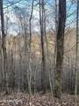 4.12 Acres Twin Peaks Ln - Photo 10