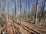  Veterans Lookout - Photo 9