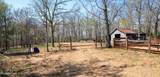1428 Trigonia Rd - Photo 1