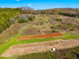Tract 1 Dumplin Valley Rd - Photo 10