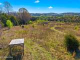 Tract 1 Dumplin Valley Rd - Photo 9