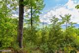 Lot 71 Vixen Run - Photo 3