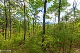Lot 71 Vixen Run - Photo 5