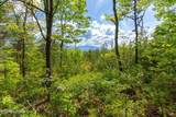 Lot 71 Vixen Run - Photo 6