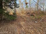 Lot 7 Smyrna Rd - Photo 7