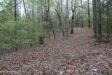 21 Acres County Road 461 - Photo 10