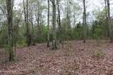 21 Acres County Road 461 - Photo 13
