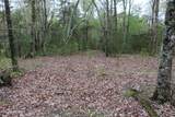 21 Acres County Road 461 - Photo 14