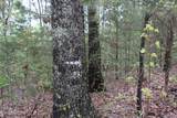 21 Acres County Road 461 - Photo 15