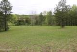 21 Acres County Road 461 - Photo 7