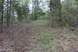 21 Acres County Road 461 - Photo 8