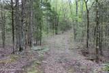 21 Acres County Road 461 - Photo 9