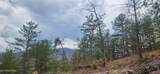  Sulpher Springs Way - Photo 9