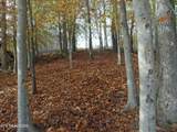 Lot 348 Lick Branch Rd - Photo 11