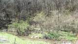 Lot 1 Baugh Hollow Rd - Photo 12