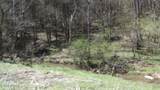 Lot 1 Baugh Hollow Rd - Photo 13