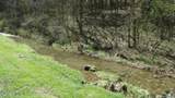 Lot 1 Baugh Hollow Rd - Photo 14