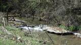 Lot 1 Baugh Hollow Rd - Photo 18