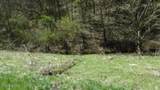 Lot 1 Baugh Hollow Rd - Photo 21