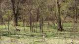 Lot 1 Baugh Hollow Rd - Photo 22